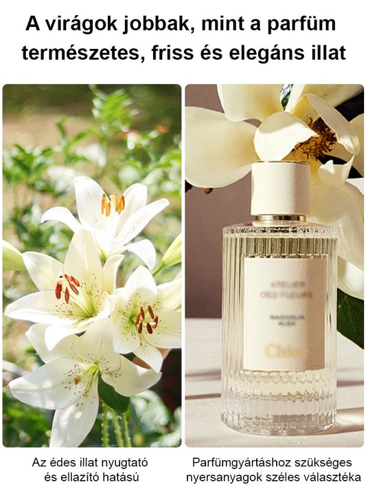 【Bardziej pachnący niż perfumy】Cebulki lilii Four Seasons pachnące na tysiące mil,Kwitnie co roku