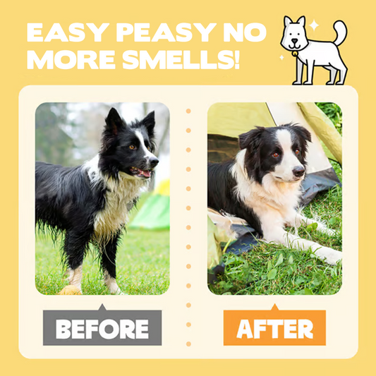 🐶 Rękawice dezodorujące do czyszczenia i dezynfekcji zwierząt bez spłukiwania