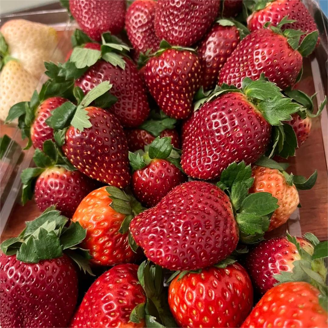 Nasiona truskawek Black Pearl