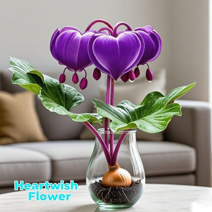 💕 Spełnij swoje życzenia: Cebulki Życzeń – Kwitnący cud dla każdego domu🌷