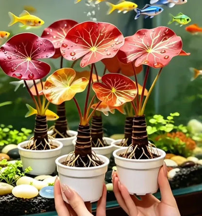 🐟Hydroponiczne korzenie czerwonego lotosu🌿 Zmień swoje akwarium w żywy ogród