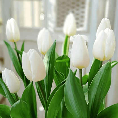 🌷Rzadkie nasiona tulipanów – kolorowe wiosenne kwiaty do doniczek, rabat i ogrodów