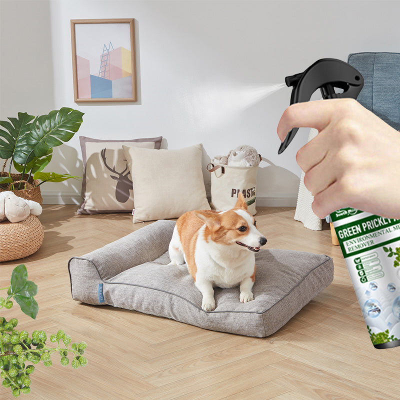 ⚡Wyprzedaż limitowana Kup 2 i otrzymaj 1 gratis⚡-🧑‍⚕️Silny spray do usuwania roztoczy