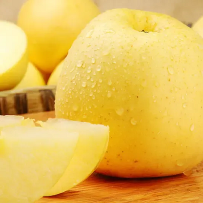 Nasiona Złotego Jabłka, wskaźnik przeżywalności 90%