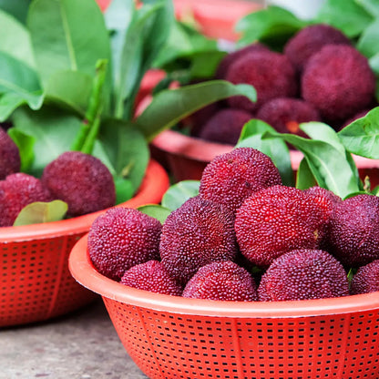 Olbrzymia jagoda laurowa：Wielkość piłeczki do ping-ponga, ⭐Smak połączenia truskawek i wiśni