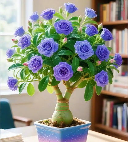 🌵 Desert Rose – egzotyczne kwiaty, naturalne piękno! 🌺✨