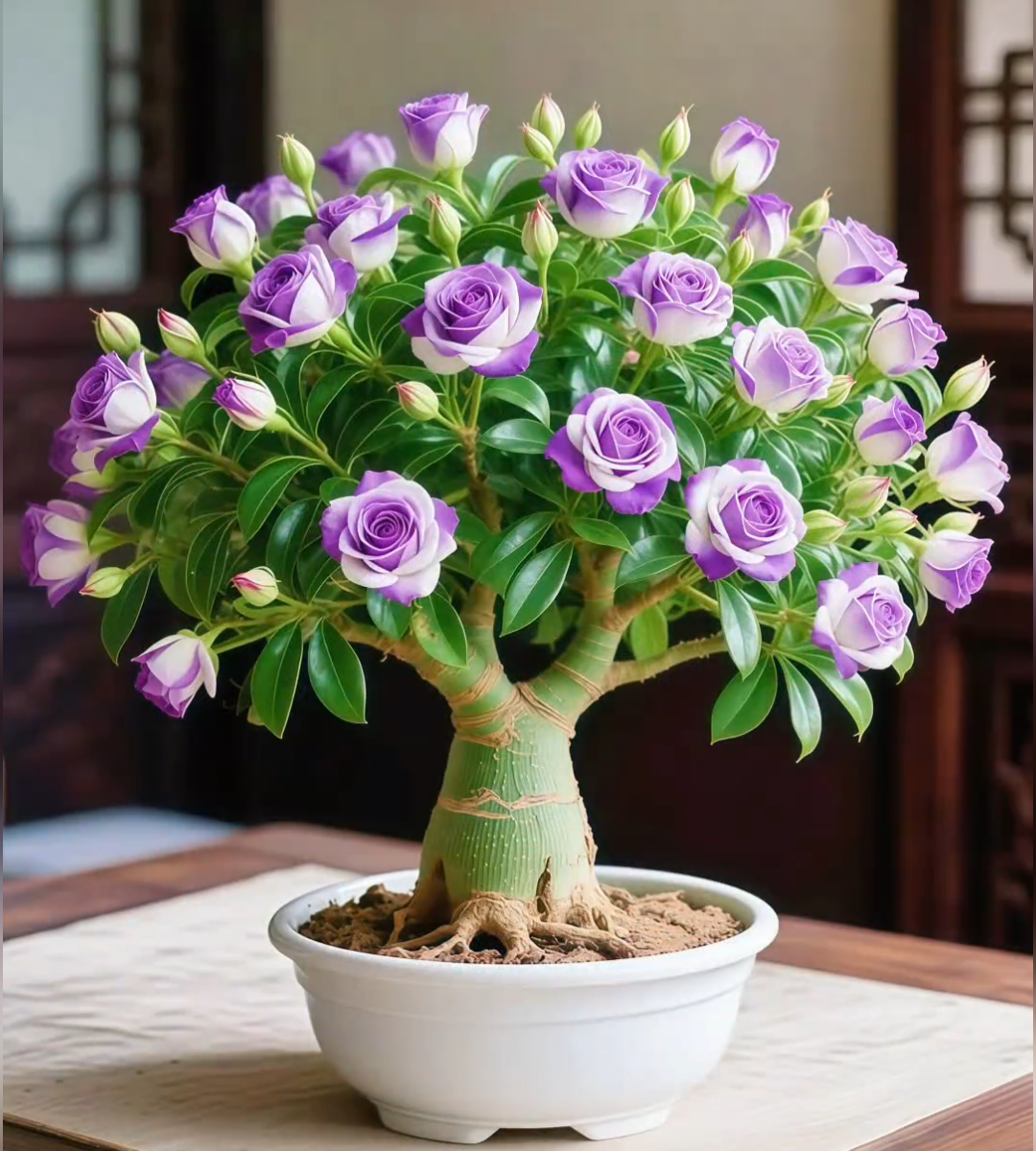 🌵 Desert Rose – egzotyczne kwiaty, naturalne piękno! 🌺✨