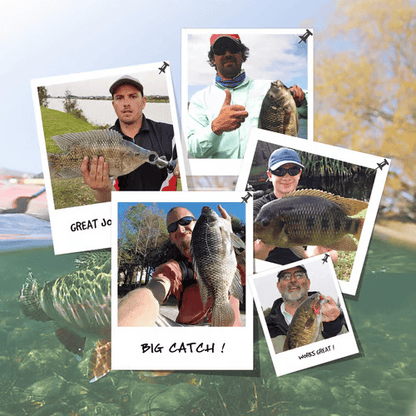 🌊Zdominuj wodę: Ozark Trail 5-calowy wieloczęściowy swimbait na białego bassa🐟