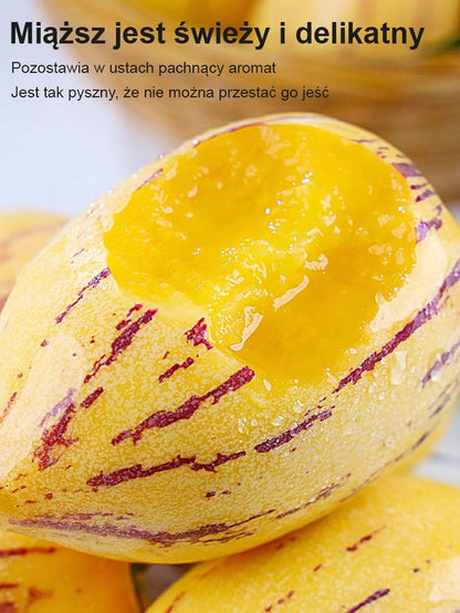 Hipoglikemiczny i przeciwnadciśnieniowy kremowo-żółty miąższ owocu żeń-szenia doniczkowego