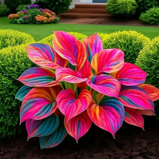 🌞 Easy-to-Grow Colorful Hostas for Year-Round Beauty🪴