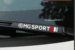 OSTATNIA WYPRZEDAŻ🎉50% ZNIŻKI🎉Kreatywna naklejka na wycieraczki samochodowe 🎉4 SZT🎉