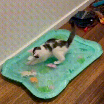 Gorąca wyprzedaż — 50% zniżki ✨ Mata dla zwierząt 3 w 1 z możliwością kontrolowania temperatury i odczuwania wody