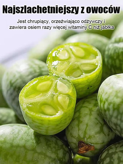 Nasiona arbuza kciuka