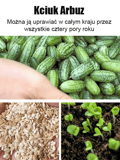 Nasiona arbuza kciuka