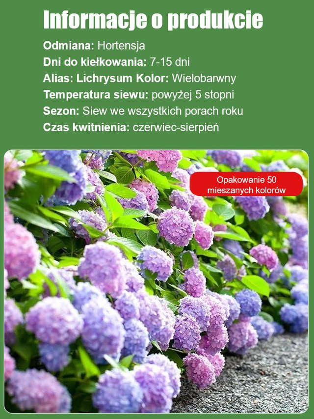 Nasiona hortensji kwitną przez cały rok