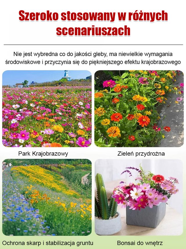 Cztery pory roku kwitnienia - mieszanka nasion kwiatów