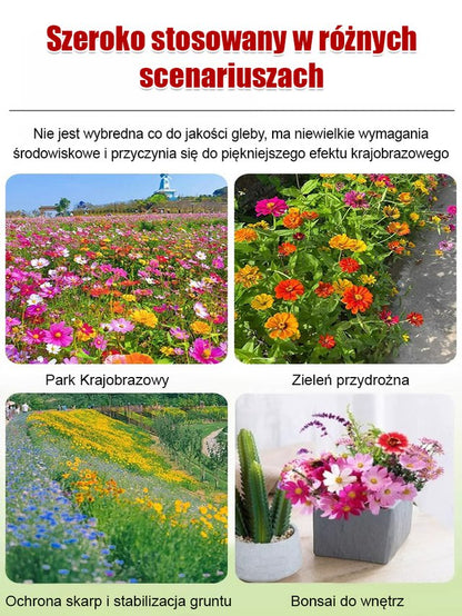 Cztery pory roku kwitnienia - mieszanka nasion kwiatów