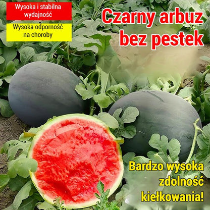 【Słodsze niż miód】Czarne bezpestkowe nasiona arbuza wysokoplennego