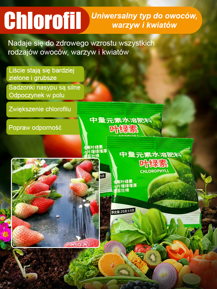 【Rozwój i zazielenienie】Wodorozpuszczalny nawóz chlorofilowy