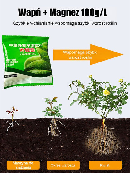 【Rozwój i zazielenienie】Wodorozpuszczalny nawóz chlorofilowy