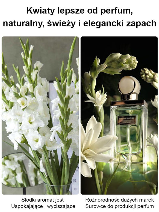 【Bardziej pachnący niż perfumy】Kwiaty tuberozy pachnące na tysiące mil，Kwitnie co roku