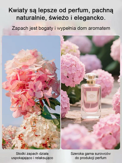 Nasiona hortensji truskawkowej Four Seasons Flowering