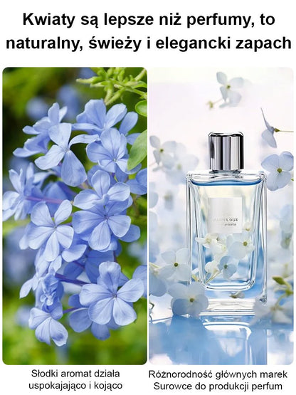 [Pachnące przez tysiące mil] Nasiona pnącza o czterech sezonach kwitnienia: niebieski kwiat śniegu