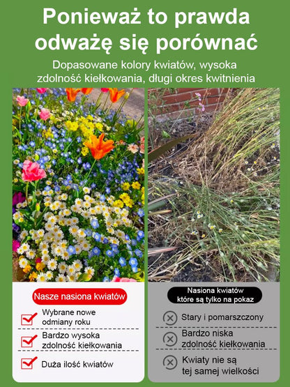 [Żyje po podlaniu] Wiele odmian silpachnących szybkosadnych nasion kwiat+z dołączoną cegłą kokosową