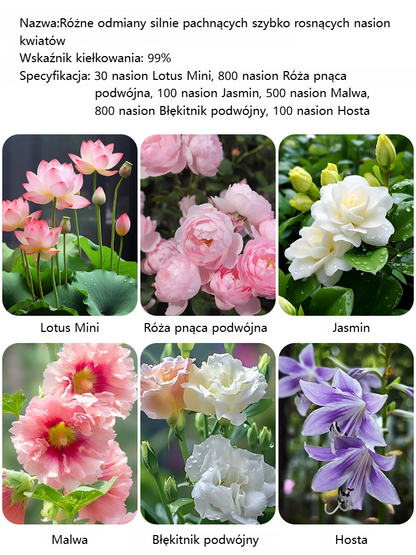 [Żyje po podlaniu] Wiele odmian silpachnących szybkosadnych nasion kwiat+z dołączoną cegłą kokosową