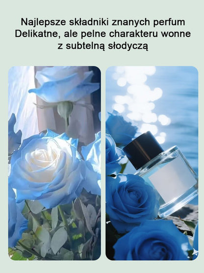 Rzadkie hydroponiczne róże dwukolorowe - 12 kolorów mieszanych nasion - 300 kapsułek