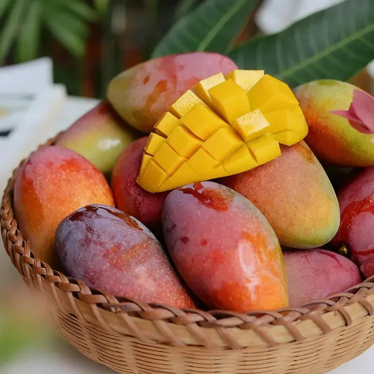 🥭 Aksamitne, słodkie i soczyste sadzonki mango – poczuj smak tropików we własnym domu 🌴