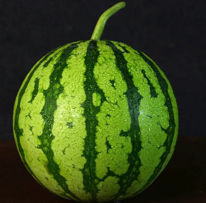 🍉Wczesnowiosenny Czerwony Jadeit – słodki arbuz, który zachwyci całą rodzinę