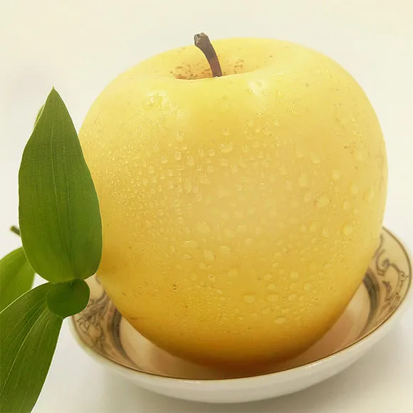 Nasiona Złotego Jabłka, wskaźnik przeżywalności 90%