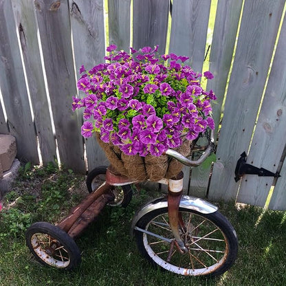 💥Ulepszony materiał najwyższej jakości🌸Powój odporny na promieniowanie UV i nieblaknący (bez doniczki)
