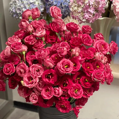 🔥Ostatni dzień wyprzedaży💝Eustoma Thornless Rose💐Lisianthus Seeds