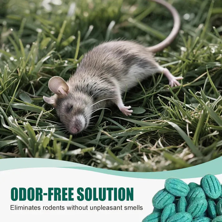 ✨Wysoce skuteczna przynęta na gryzonie✨🔥 KUP 1, DOSTAŃ 1 GRATIS! 🔥