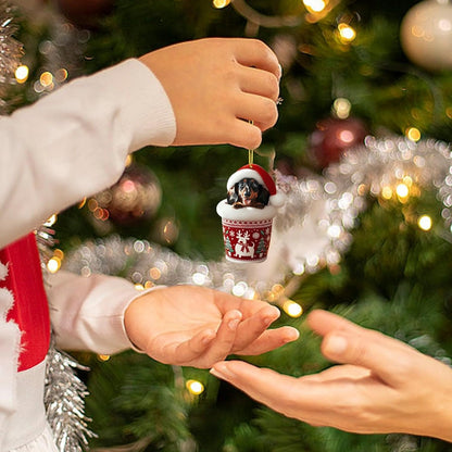 🎅Kalendarz adwentowy z jamnikiem na Boże Narodzenie 2025🎁