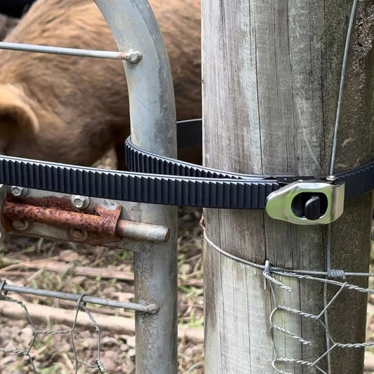 📢📢 50% TANIEJ!! ✨ Uniwersalny pasek zabezpieczający z zamkiem – ostateczna ochrona przed kradzieżą!